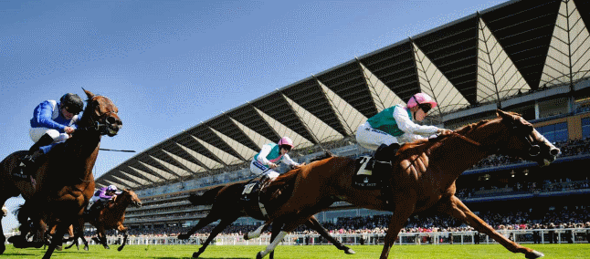 Royal Ascot Day 2 Odds & Tips
